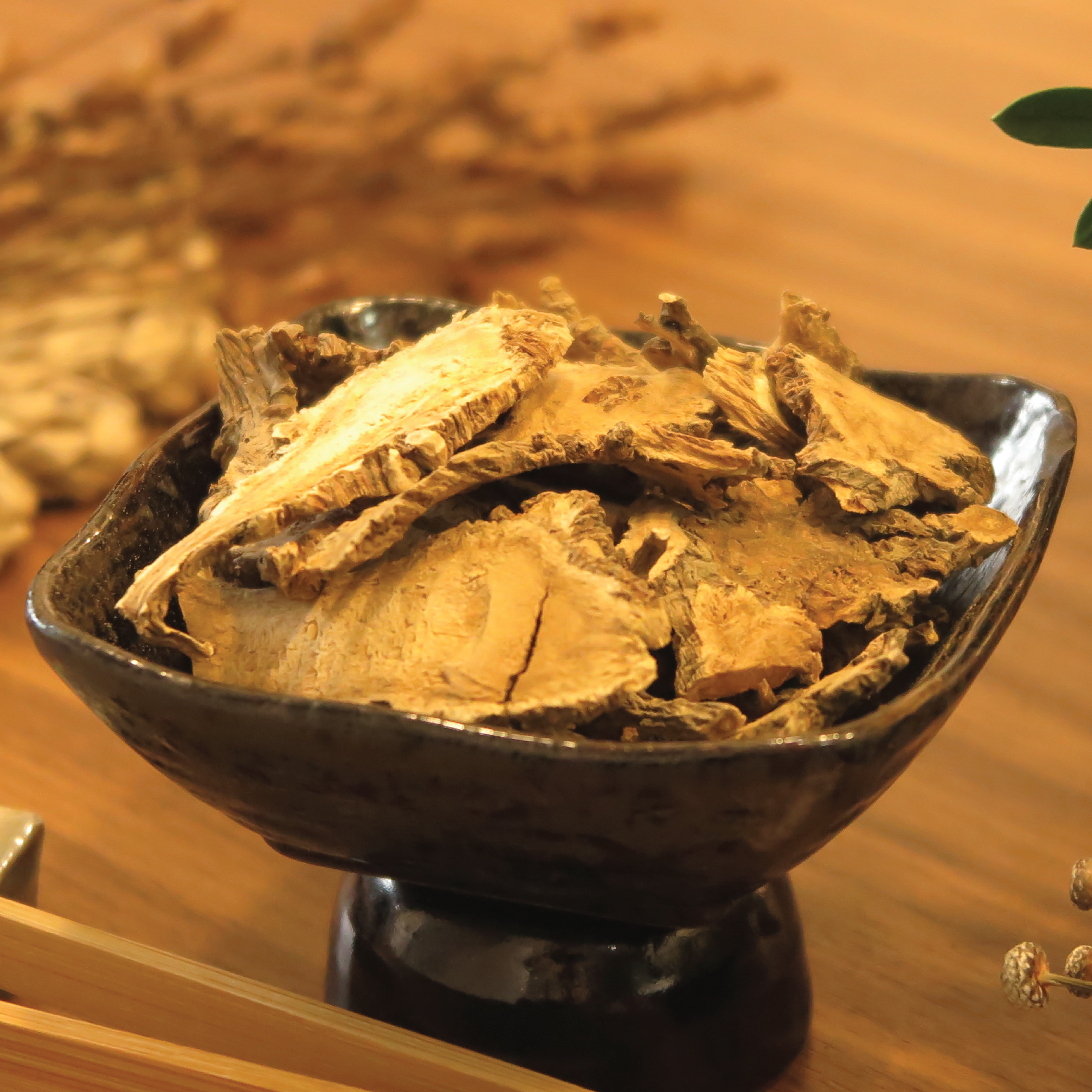 Đương quy Bắc