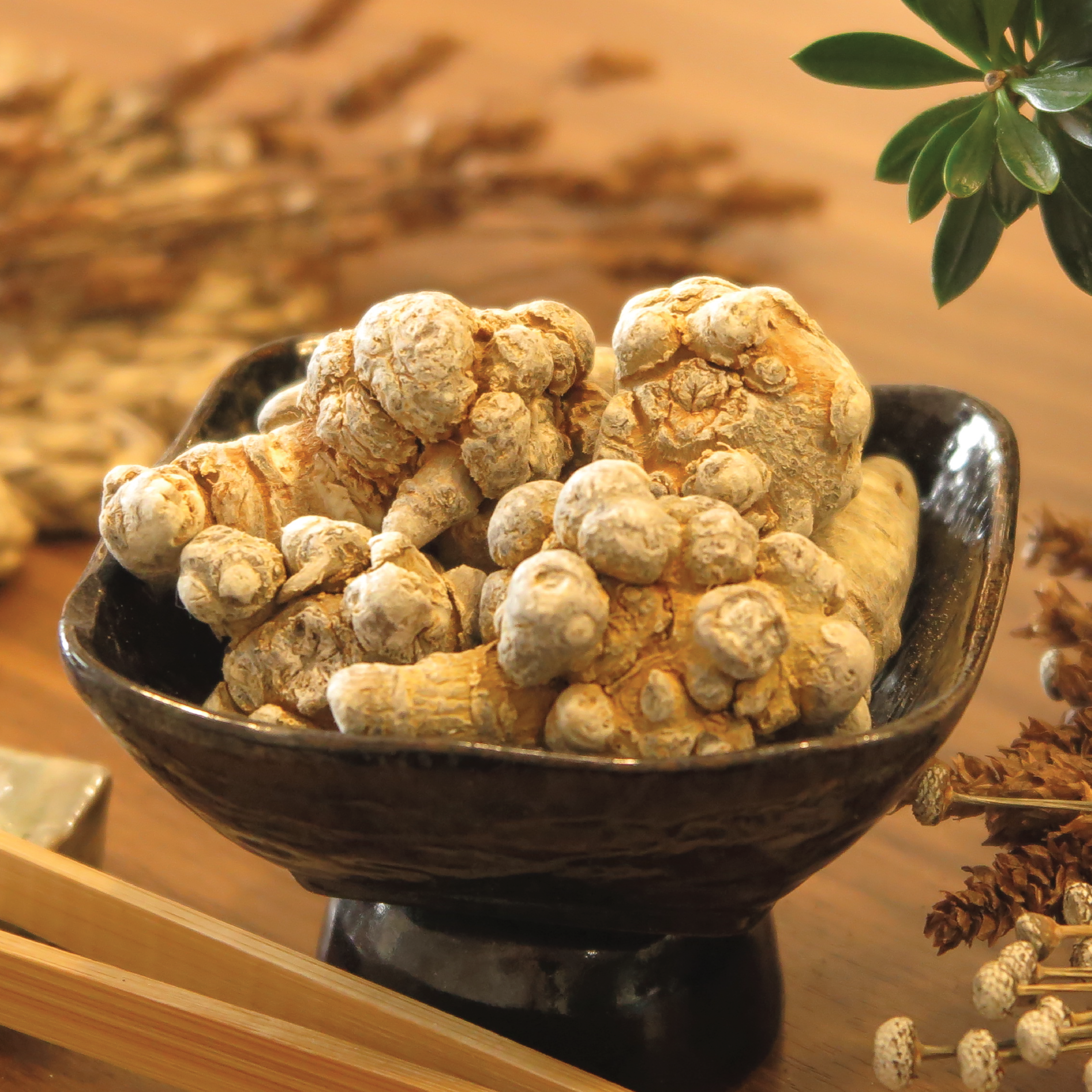 Tam thất củ 4